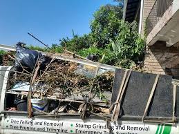 Best Hoarding Cleanup  in Lindale, TX